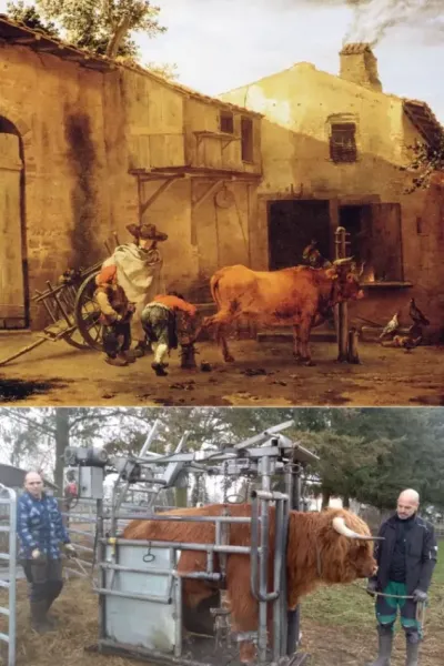 Klauenpflege damals und heute Klauenpflege damals und heute